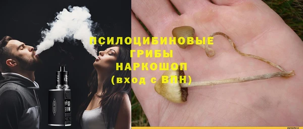 тгк Армянск