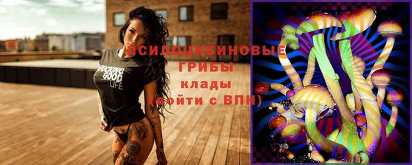 тгк Армянск